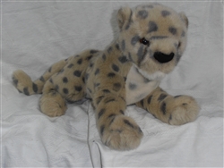 Douglas Cheetah Cub