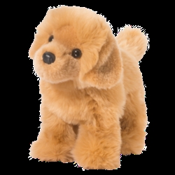 Chap Golden Retriever 10" L