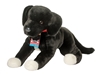 Coupe Black Lab Pit Bull Mix 20" L without tail, 26" L with tail