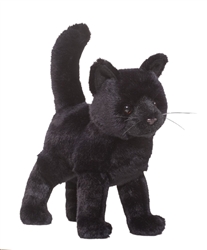 Midnight Black Cat