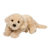 Peanut Cream Labradoodle Larg 17" L