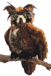 Great Horned Owl Puppet