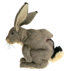 Jack Rabbit Puppet