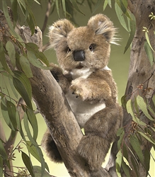 Koala Puppet 16" H