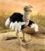 Ostrich Puppet by Folkmanis