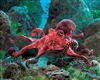 Red Octopus Puppet 19" L