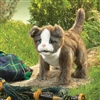Scottish Fold Cat Puppet by Folkmanis 12"L