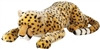 Cheetah Lying Large 30" L