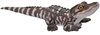 Baby Alligator Living Stream Collection by WIld Republic 20" L