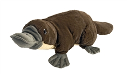 Platypus  Plush Toy 18" L