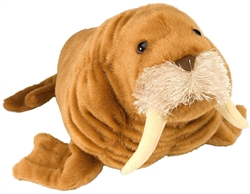 Walrus Cuddlekins