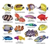 Reef Fish II -  16  Mini Shaped Puzzles  500 Piece Total by Lafayette Puzzle Company