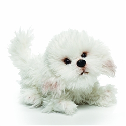 Bichon Frise Small 8" Long