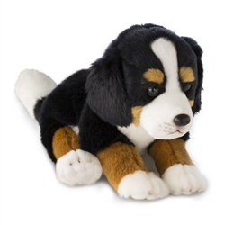 Nat & Jules Collection Bernese Mountain Dog 12" L