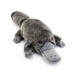 Platypus Plush Toy from the Nat & Jules Collection
