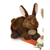 Tan Dutch Bunny Yomiko 17"l