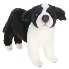 Border Collie Puppy 9.75"h