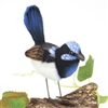 Hansa Blue Wren  Bird (Aussie)