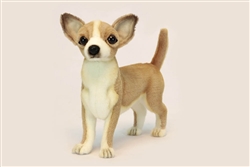 Hansa Chihuahua Puppy