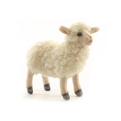 Hansa Little Cream Lamb