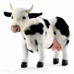 Hansa Holstein Cow
