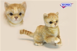 Ginger Kitten - Orange Tabby Kitten Cat 7" High