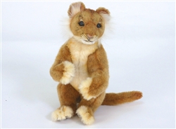 Hansa Lion Cub Playful