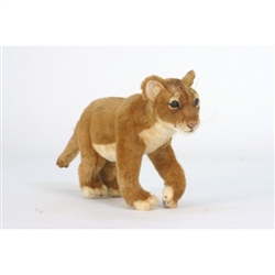 Hansa Lion Cub Standing 10" H