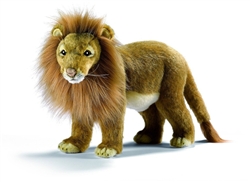 Hansa Male Lion Standing