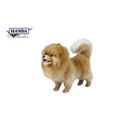 Pomeranian Dog Standing 10" H