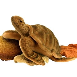 Hansa Sea Tortoise