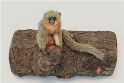 Hansa TIti Monkey 6" H