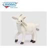 Hansa White Baby Goat 14" L