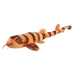 Bamboo Shark