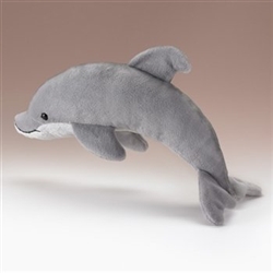 Grey Bottle Nosed Dolphin
