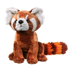 Red Panda