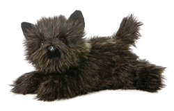 Toto Cairn Terrier Dog