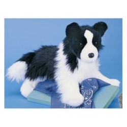 Chase Border Collie