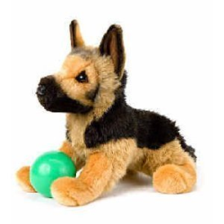 General German Shepherd