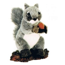Gray Squirrel with Acorn