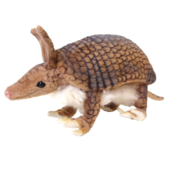 Hansa Armadillo