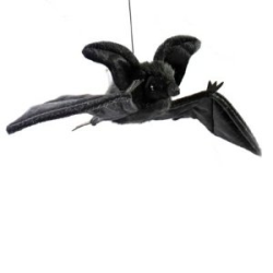 Hansa Black Hanging Bat
