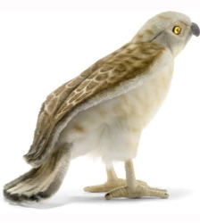 Hansa Falcon