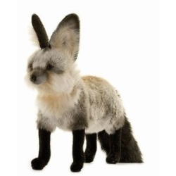 Hansa South African Bat Eared Fox 22" L