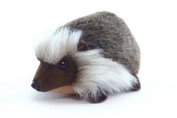 Hansa Hedgehog