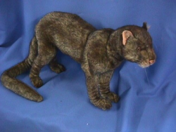 Hansa Jaguarundi