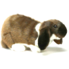 Hansa German Lop Eared Bunny 9" L