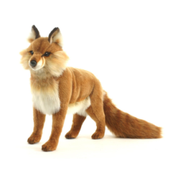 Hansa Red Fox Standing