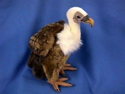 Hansa Vulture
