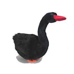 Noble Black Swan